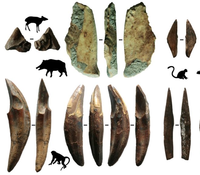 Discovery of Oldest Bow and Arrow Technology in Eurasia