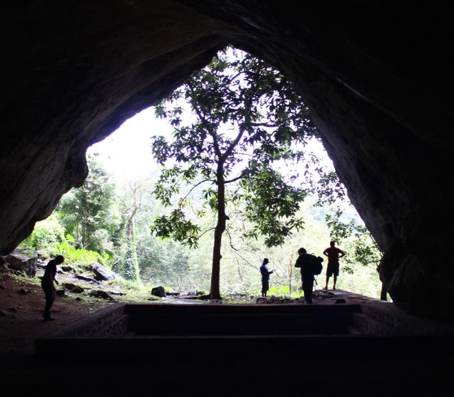 New Book: ‘Tropical Forests in Prehistory, History, and Modernity’