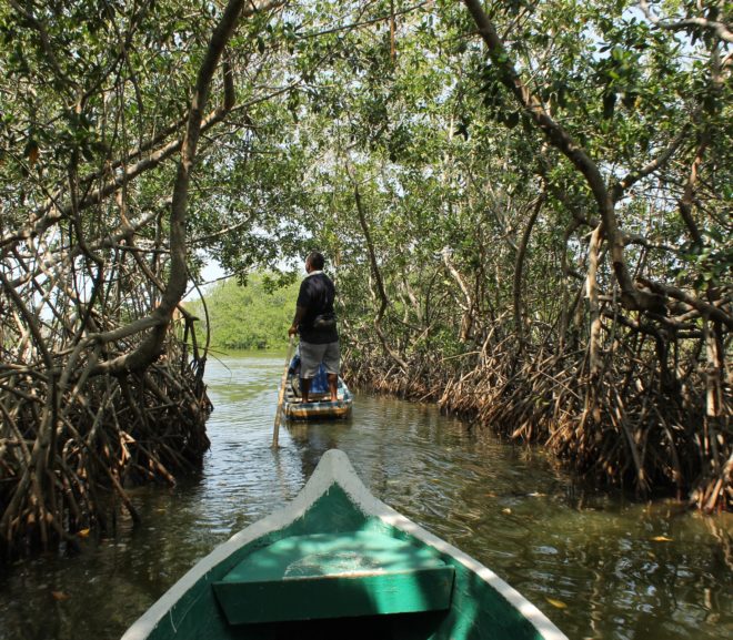 Project ISLANDER Funded! 2020-2021