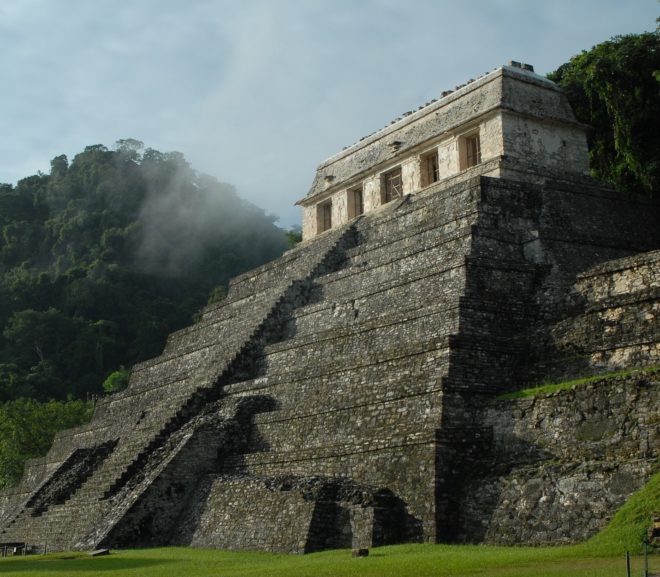 Revisiting the Milpa Cycle and the Myth of Mayan Collapse in Anabel Ford’s “The Maya Forest”