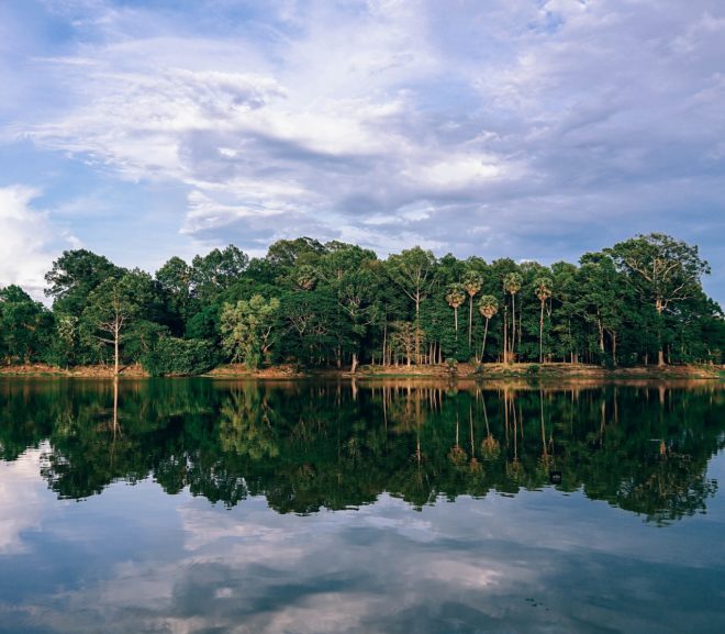 How climate, humans and fire have shaped south-east Asian tropical forests over millennia: a palynological perspective