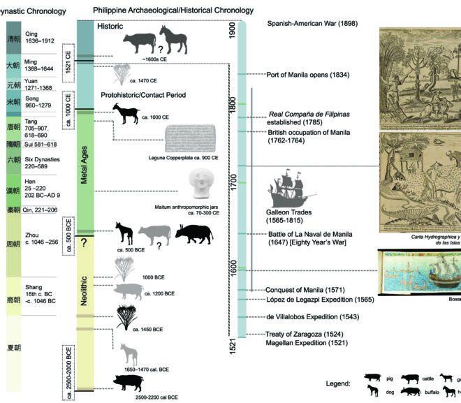 From the First Farmers to the Spanish Empire: 4000 years of animal and plant introductions to the Philippine Archipelago