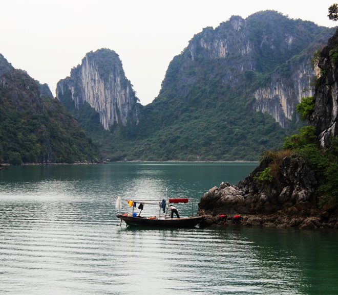 Multidisciplinary research reveals prehistoric human management of a resilient tropical forest-mangrove landscape in Vietnam