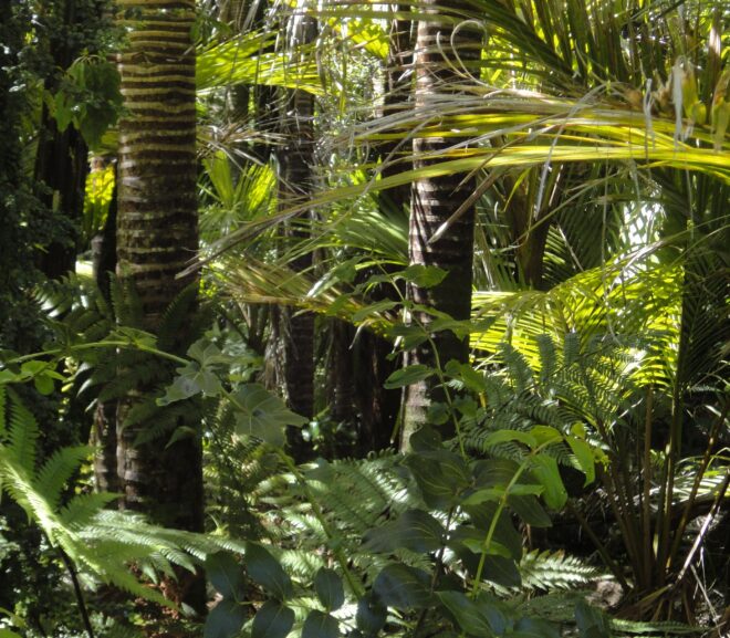 Varied landscape response to Iberian invasion of the tropics